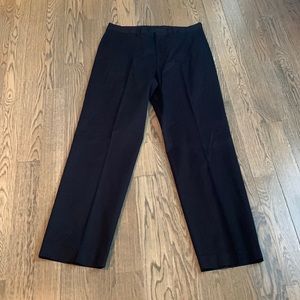 Express dress pants